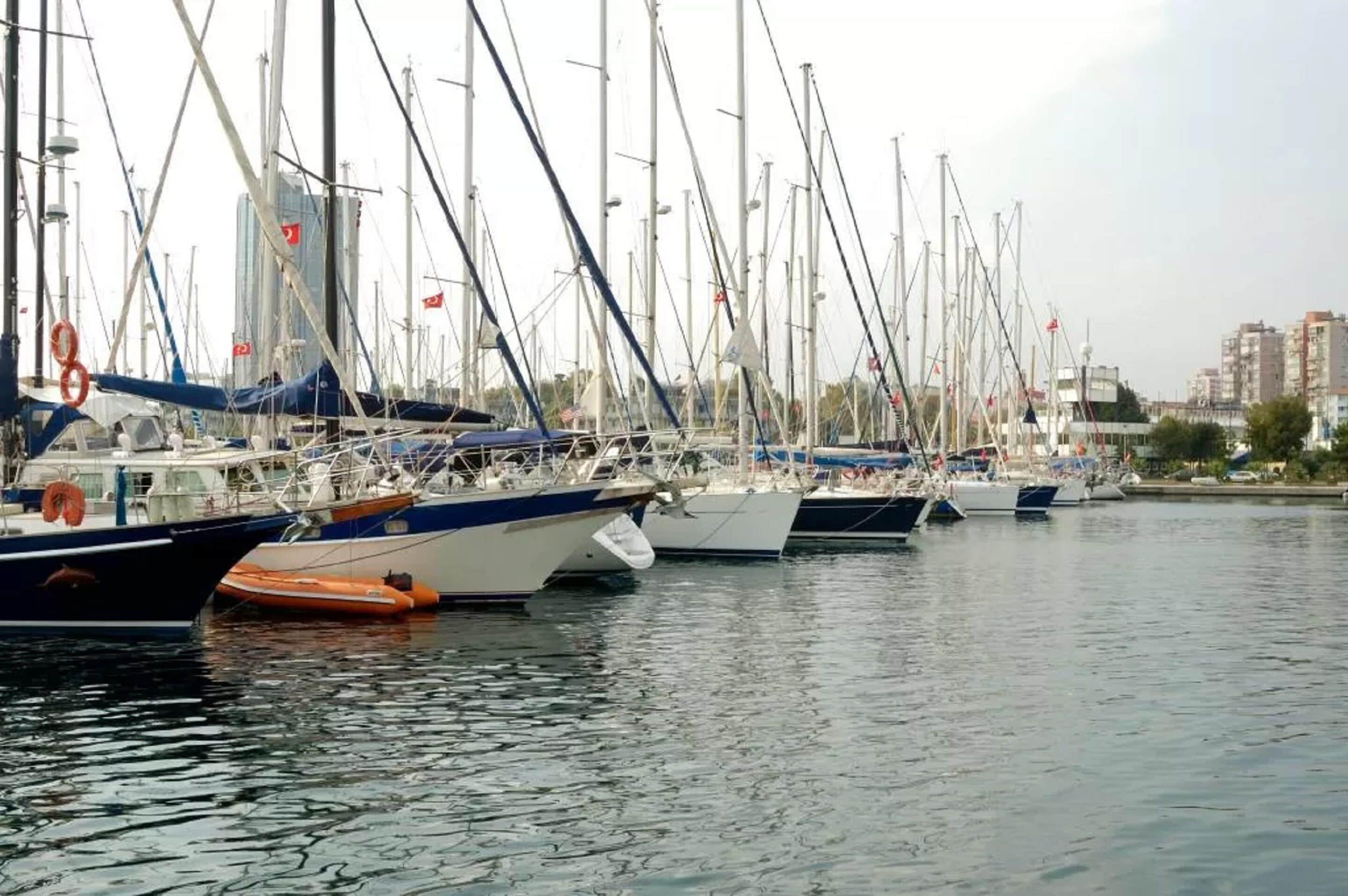 Anemon Bakirkoey — Fotoğraflar 3